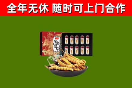 临沂市回收冬虫夏草价格